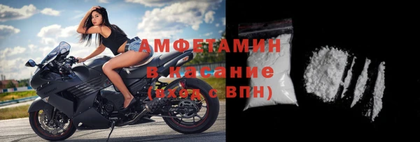 ГАЛЛЮЦИНОГЕННЫЕ ГРИБЫ Богданович